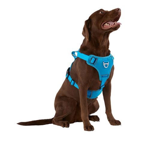 Arcadia Trail™ Neoprene Dog Harness Reflective Water Resistant Dog