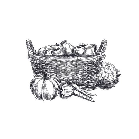 Vegetable Basket Drawing Outline