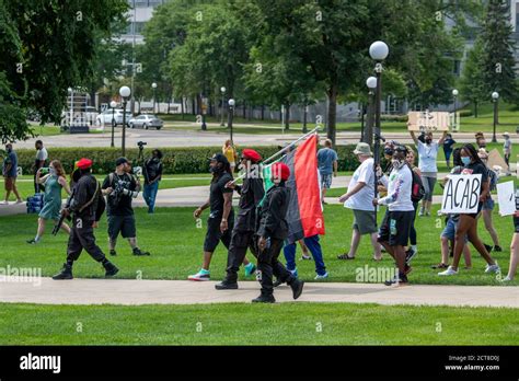 Black Panthers Hi Res Stock Photography And Images Alamy