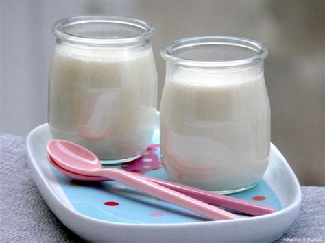 Yaourts Au Lait Concentr Tr S Doux Avec Une Texture Ferme Recette