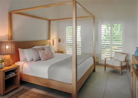 Pawsitively Indulge Uncovering The Best Pet Friendly Hotels In Islamorada