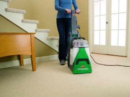 What is the Best Carpet Steam Cleaner for Pet Urine? – Steam Cleanery