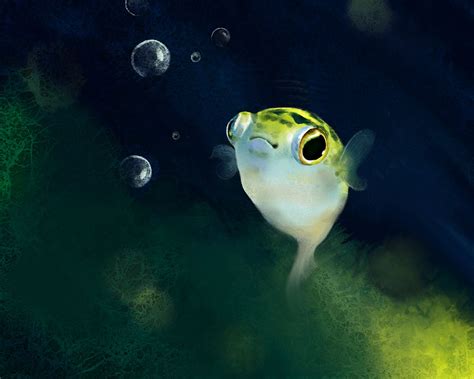 Happy Puffer Fish Photography: Zhang Junjie Artwork