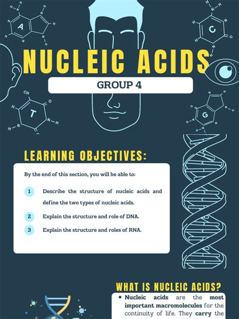 Nucleic Acid | PDF | Nucleic Acids | Rna 