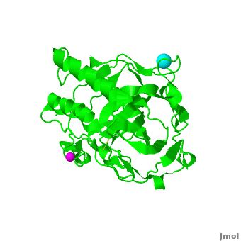 Carbonic anhydrase - Proteopedia, life in 3D