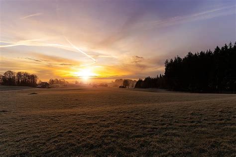 Royalty Free Field Grassland Sunset Photos Pikist