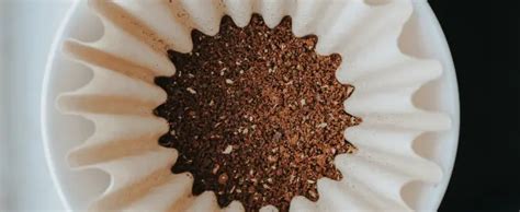 5 maneiras inteligentes de reutilizar filtros de café para u