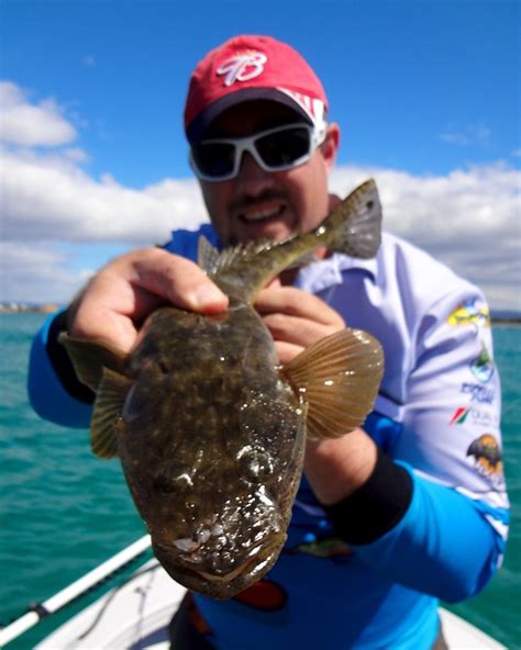 Dusky Flathead In Shallow Water Hooked Up Magazine