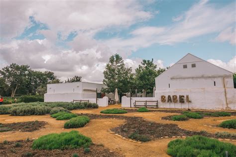 5 Reasons You Need To Visit Babylonstoren In South Africa