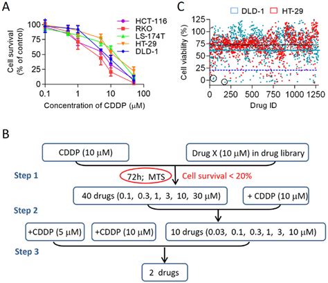 Cell Based High Throughput Screening Hts Of Fda Approved Drug Library