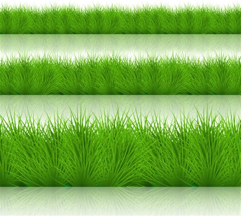 Cartoon grass border free vector download (21,277 Free vector) for ...