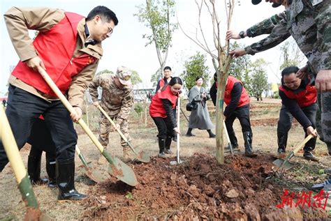 义务植树添新绿 资讯 新湖南