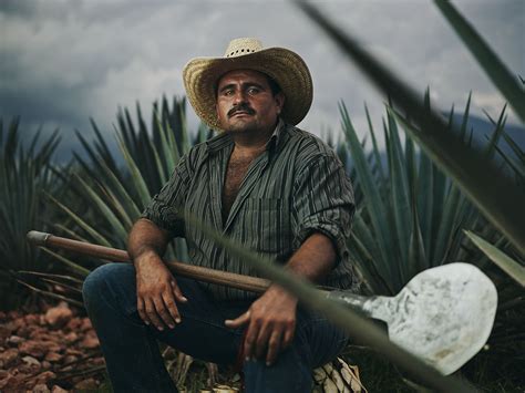 Jose Cuervo on Behance