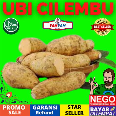 Jual Ubi Cilembu Kg Gr Gram Mentah Paket Bungkus Bumbu