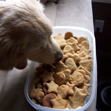 Good Dog Cookies Recipe