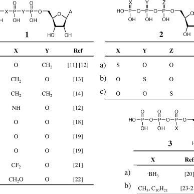 Structure Of Nucleoside Triphosphates Chemically Modified In The