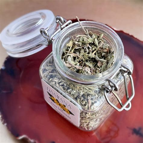 Damiana Herb Jar for sensuality & passion - Sage Goddess