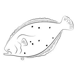 Flounder 2 Coloring Page for Kids - Free Flounders Printable Coloring Pages Online for Kids ...