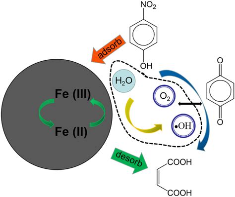 Graphical Illustration Of The Electrocatalytic Oxidation Process Of