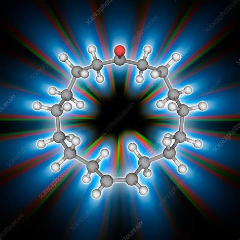 Civetone Organic Compound Molecule Stock Image F Science