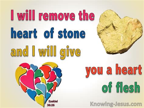 Bible Verses About Heart Renewed