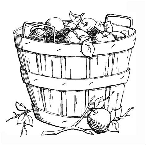 Apple Basket Coloring Page Sketch Coloring Page