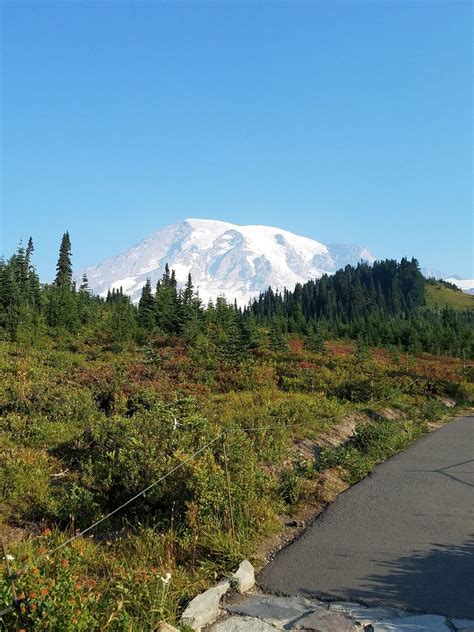 7 Short And Sweet Fall Hikes In Washington With A Spectacular End View