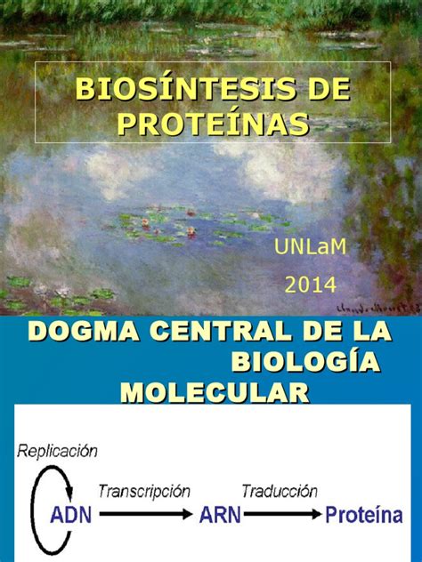 PDF Sintesis De Proteinas 2015 DOKUMEN TIPS