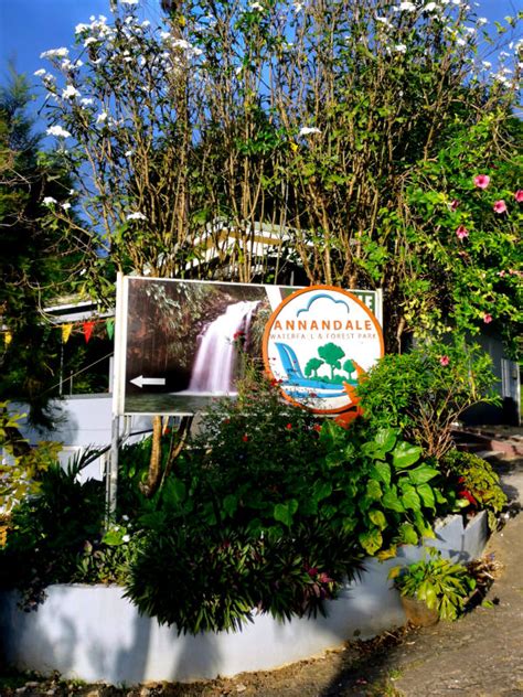 Visiting the Best Waterfalls in Grenada (Route + Costs)