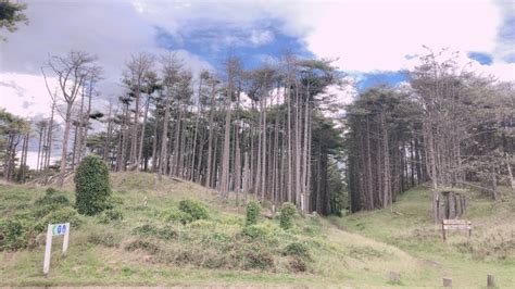 Tobogganing in Wales – Pembrey Country Park - Ladies What Travel