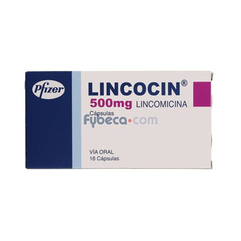 Lincocin Caps Mg C Suelta Fybeca