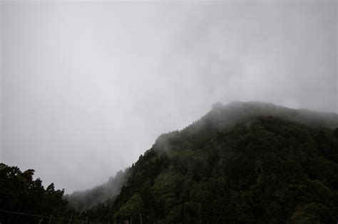 Premium Photo Morning Condensation In The Mountains