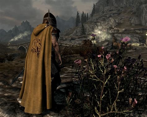 Cloaks of Skyrim at Skyrim Nexus - Mods and Community