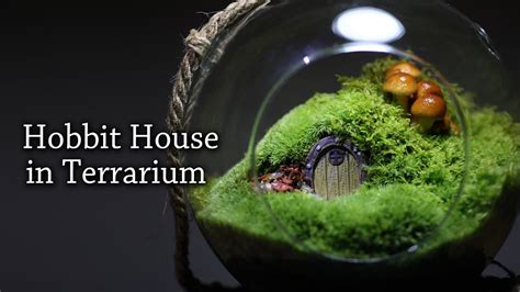 Hobbit House Terrarium Mushroom Terrarium YouTube