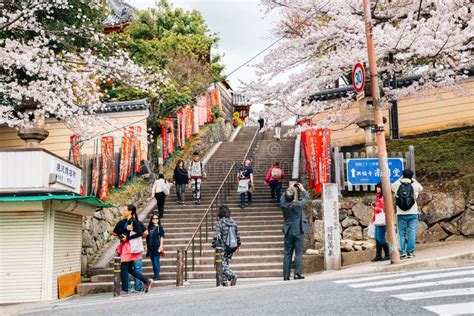 Nara Park, Deer with Spring Cherry Blossoms in Nara, Japan Editorial ...