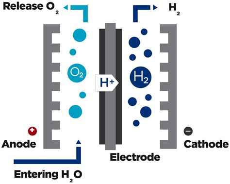 A Comprehensive Guide to Hydrogen Water Bottles, Hydrogen Water ...