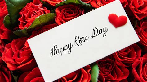 Happy Rose Day Wishes Rose Day Say I Love You To Your Partner