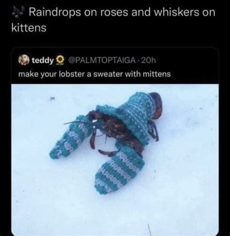 lobster mittens - Meme subido por KibblesAndBitches :) Memedroid