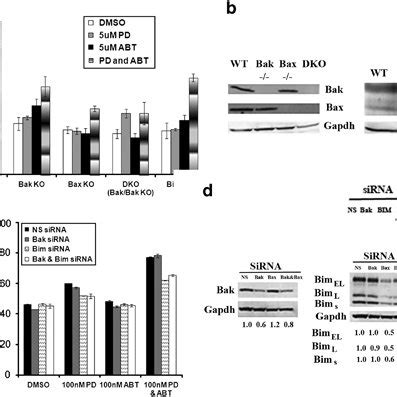 Loss Of Bim And Or Bak Expression Partially Protects Cells From