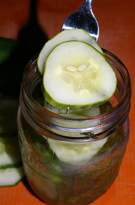 Refrigerator Dill Pickles 1840 Farm