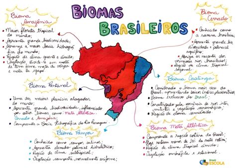 Mapa Mental Sobre Biomas Brasileiros Study Maps