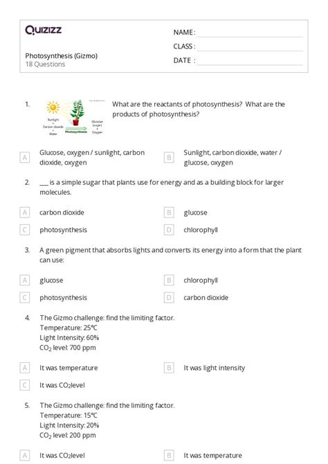 Photosynthesis Worksheets For Th Year On Quizizz Free Printable