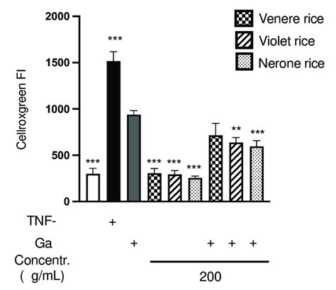 Intracellular reactive oxygen species (ROS) levels in Caco-2 cells ... 