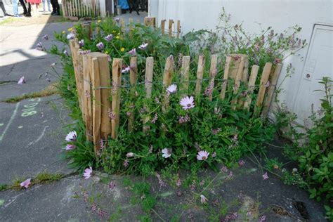 Ma Rue Est Un Jardin Nantes Nantes Nature Et Jardins