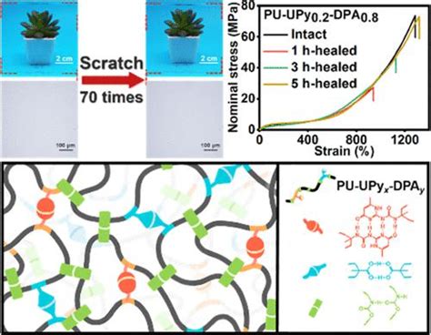 与多个氢键交联的可修复、可回收和耐刮擦聚氨酯弹性体acs Applied Polymer Materials X Mol