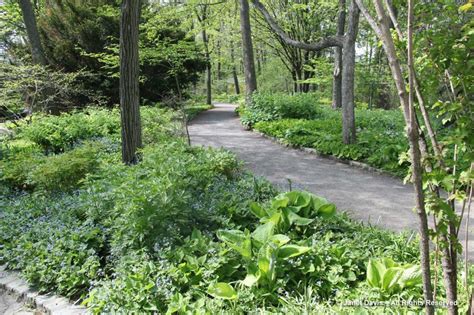 Shade Garden path-Montreal Botanical Garden | Janet Davis Explores Colour