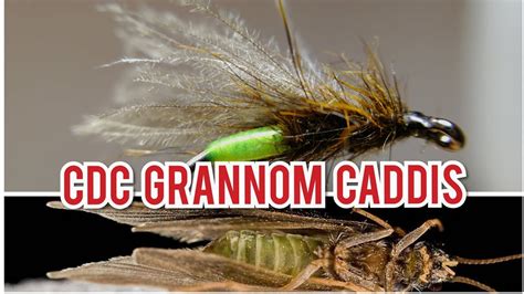 Cdc Grannom Caddis Dry Fly Youtube