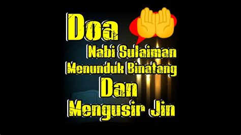 Doa Nabi Sulaiman Untuk Menundukkan Binatang Dan Mengusir Jin Shorts