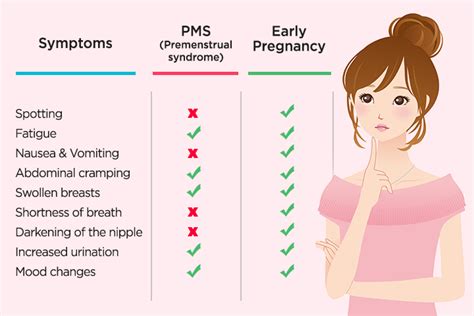 ᐅ Symptômes du syndrome prémenstruel vs Les symptômes de la grossesse