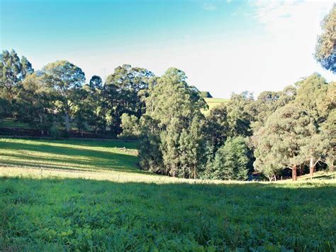 Red Road Gembrook Vic Property Details